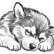 Sleeping Puppy Sketch Embroidery Design, Instant Download