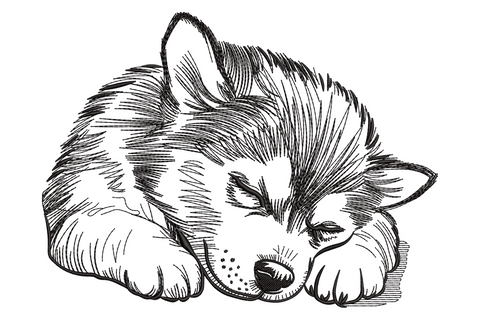 Sleeping puppy embroidery design drawn in a single black pencil-sketch outline curled up nose-to-tail with no fill.