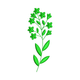 Small Floral Branch Embroidery Design, Instant Download