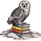 Snowy Owl on Books Embroidery Design, Instant Download