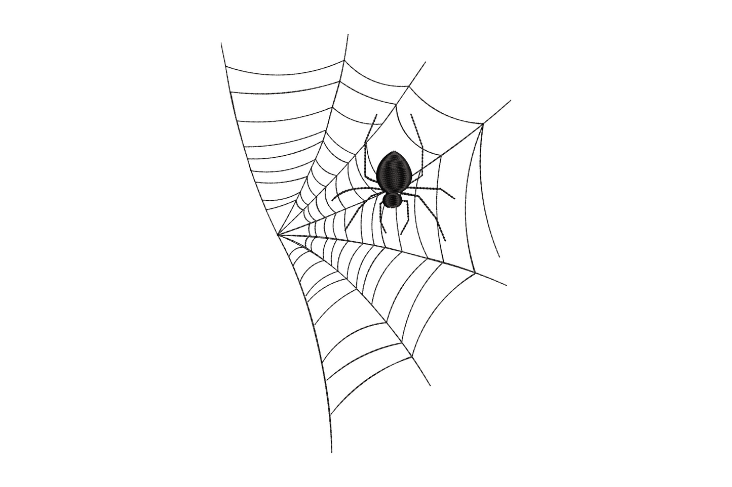 Corner spider web embroidery design with radiating spokes, arc strands and a small solid spider sitting center-web