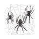 Spider Web Embroidery Design, Instant Download