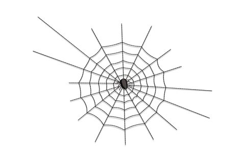 Machine embroidery design of a black spider web with a small spider at the centre, clean geometric lines on white background