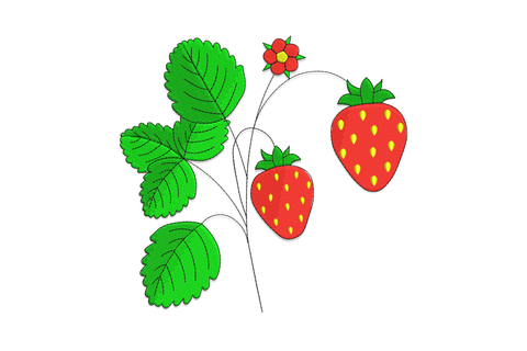 Strawberry plant embroidery with red berries, white flowers and layered green leaves, botanical garden style design