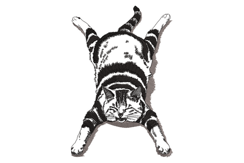 Stretching cat embroidery design viewed from above, tabby with all four paws extended, black and grey two-color linework