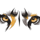 Striking Tiger Eyes Embroidery Design, Instant Download