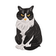 Stylish Black and White Tuxedo Cat Embroidery Design, Instant Download