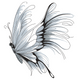 Stylish Butterfly Embroidery Design, Instant Download