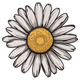 Stylish Daisy Embroidery Design, Instant Download
