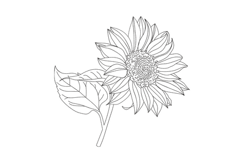 Sunflower line art in black thread, single tilted bloom with stippled centre and curling leaf off lower stem.