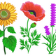 Sunflower Poppy & Lavender Trio Embroidery Design, Instant Download