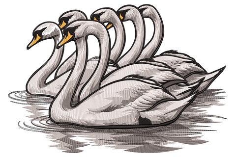 Swan group embroidery design with five mute swans in vintage engraving linework, orange beaks and grey water ripples.