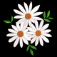 Three Daisies Embroidery Design, Instant Download