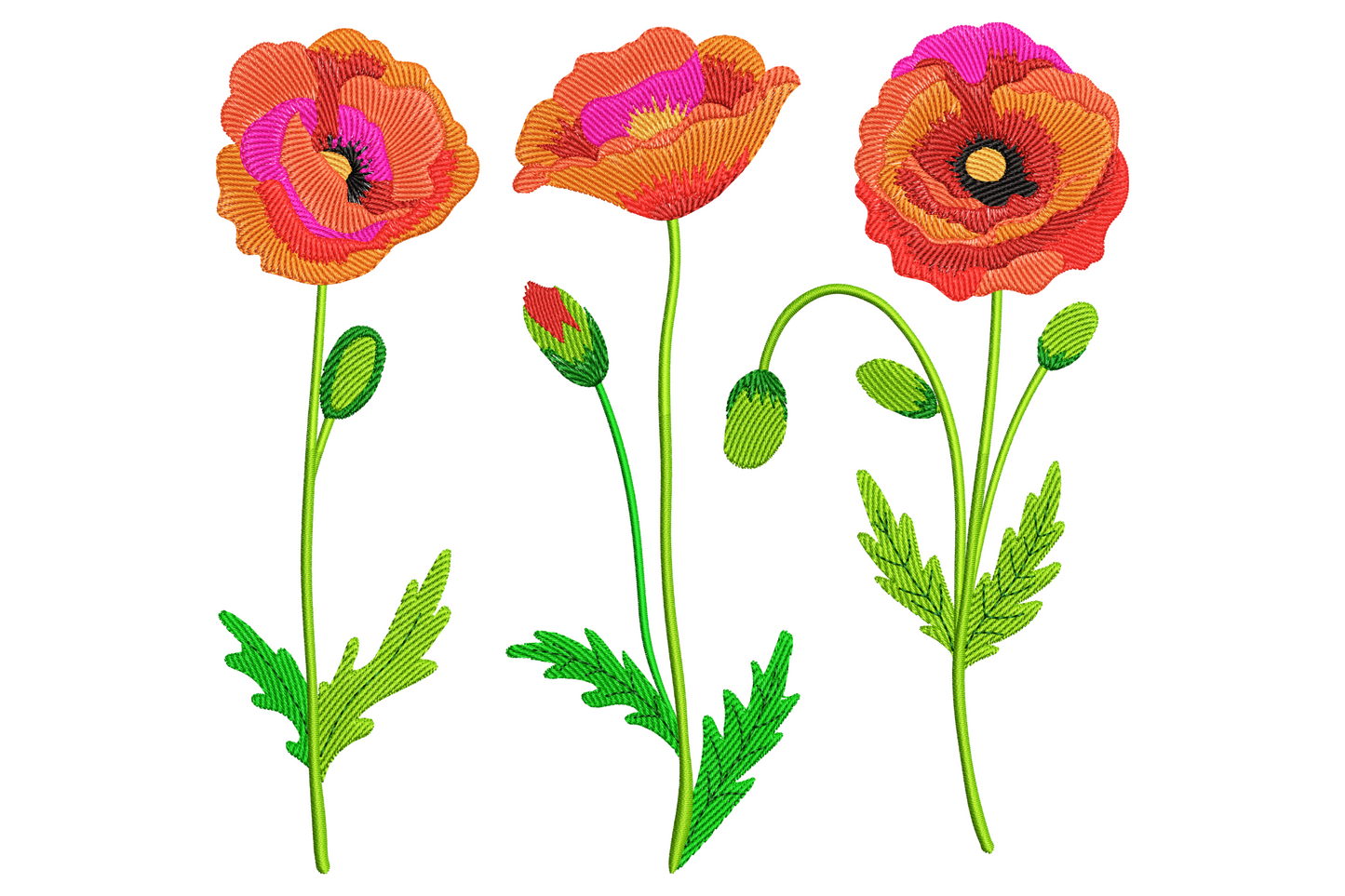 Three coral pink poppy flowers embroidery with curving green stems, small buds and feathery botanical petals.