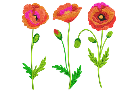 Three coral pink poppy flowers embroidery with curving green stems, small buds and feathery botanical petals.