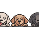 Three Puppies Embroidery Design, Cute Pet Pattern