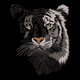 Tiger Face Embroidery Design, Wild Animal Machine Embroidery Pattern, Instant Download