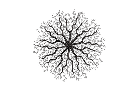 Tree roots mandala embroidery design in single black thread, radiating root branches from central knot in circular organic symmetry.
