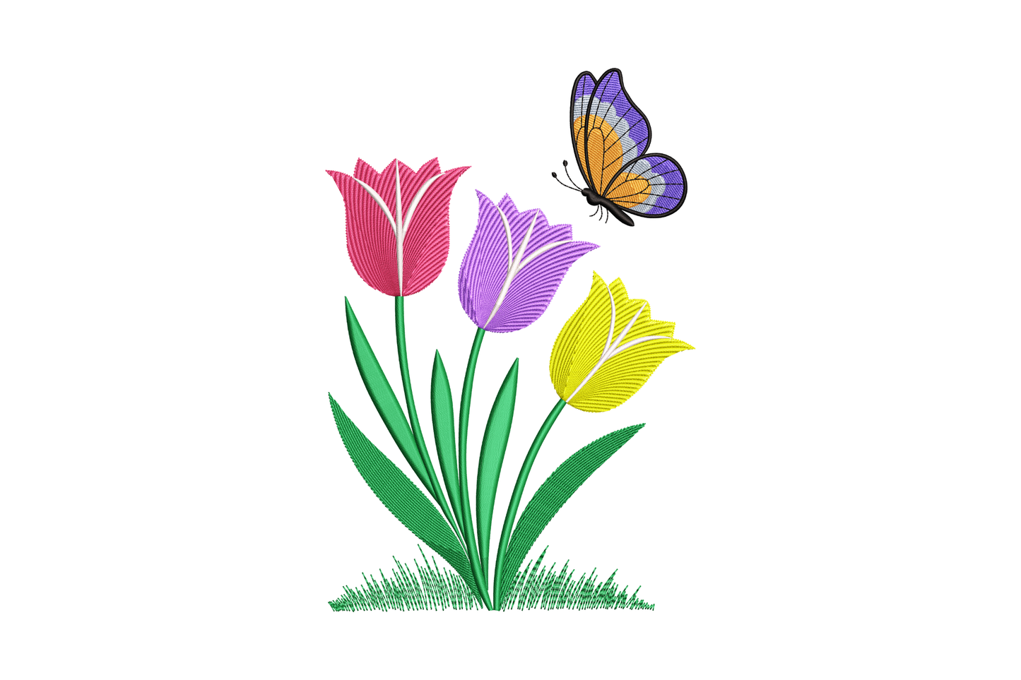 Colorful tulips with a butterfly on a white background
