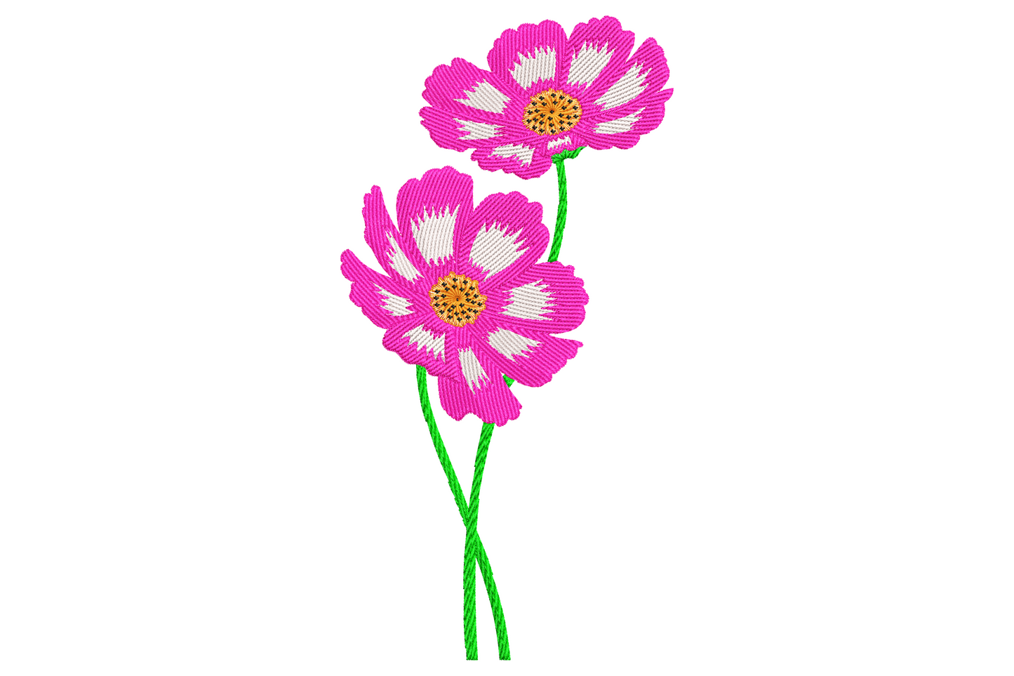 Two pink cosmos flowers embroidery with blush rose petals, golden centres and sage olive feathery foliage.