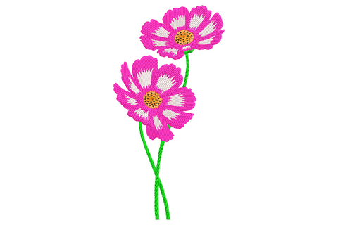 Two pink cosmos flowers embroidery with blush rose petals, golden centres and sage olive feathery foliage.