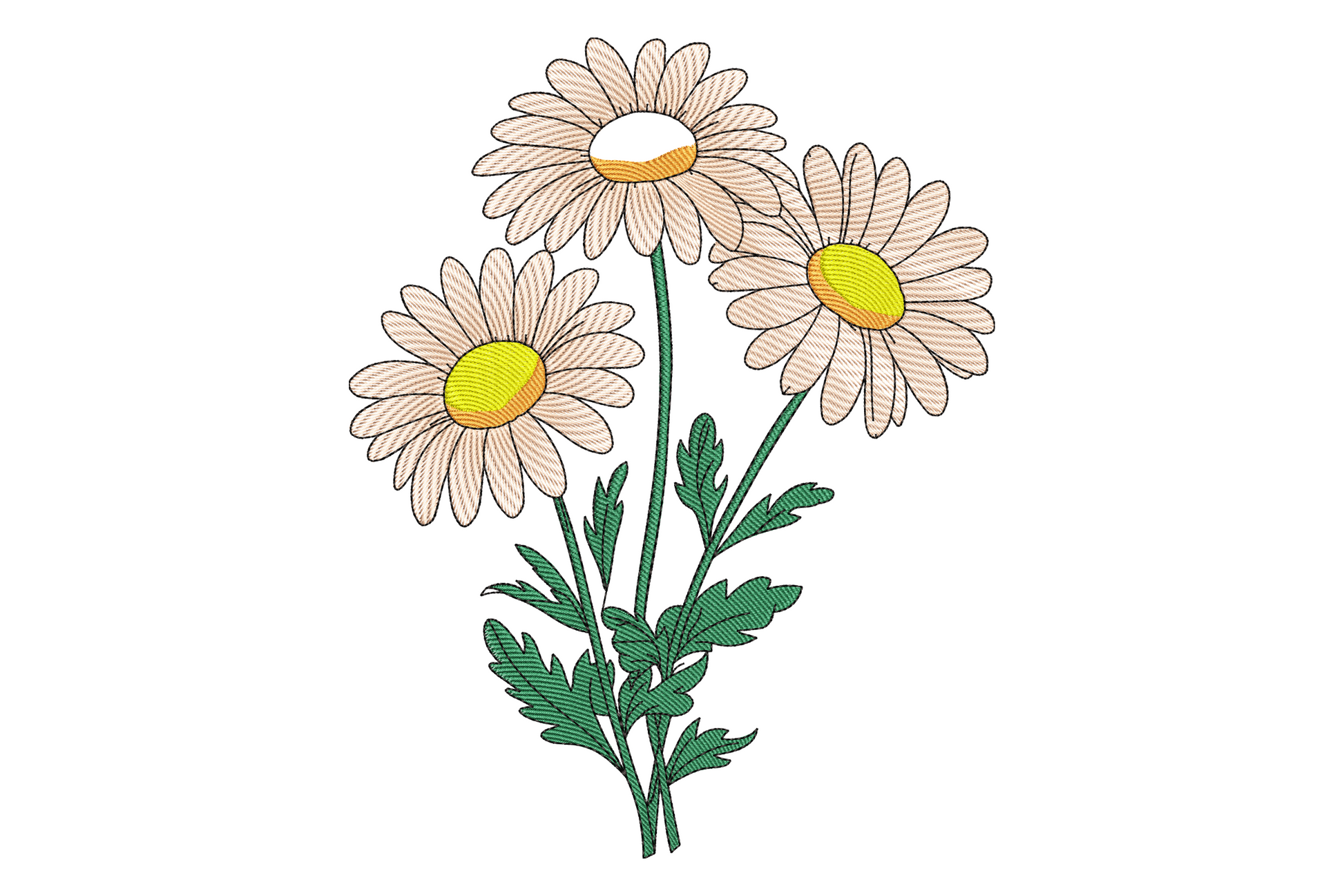 Vintage daisy bouquet embroidery design, three cream white daisies with golden centres on green stems, botanical style, 9 sizes.