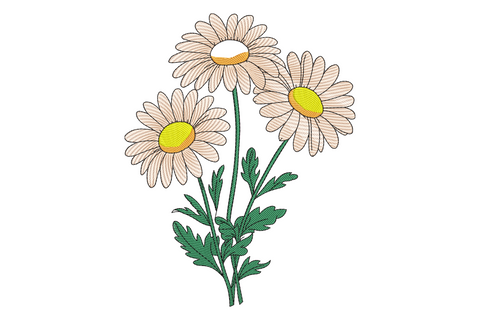 Vintage daisy bouquet embroidery design, three cream white daisies with golden centres on green stems, botanical style, 9 sizes.