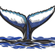Whale Tail Embroidery Design, Instant Download