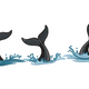 Whale Tails with Splash Embroidery Design, Instant Download