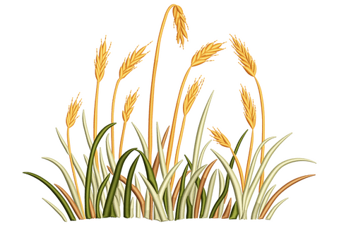 Wheat field border embroidery, gold wheat stalks rising from sage grass blades with one centre stalk bending forward.