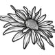 Wild Daisy Line Art Embroidery Design, Instant Download