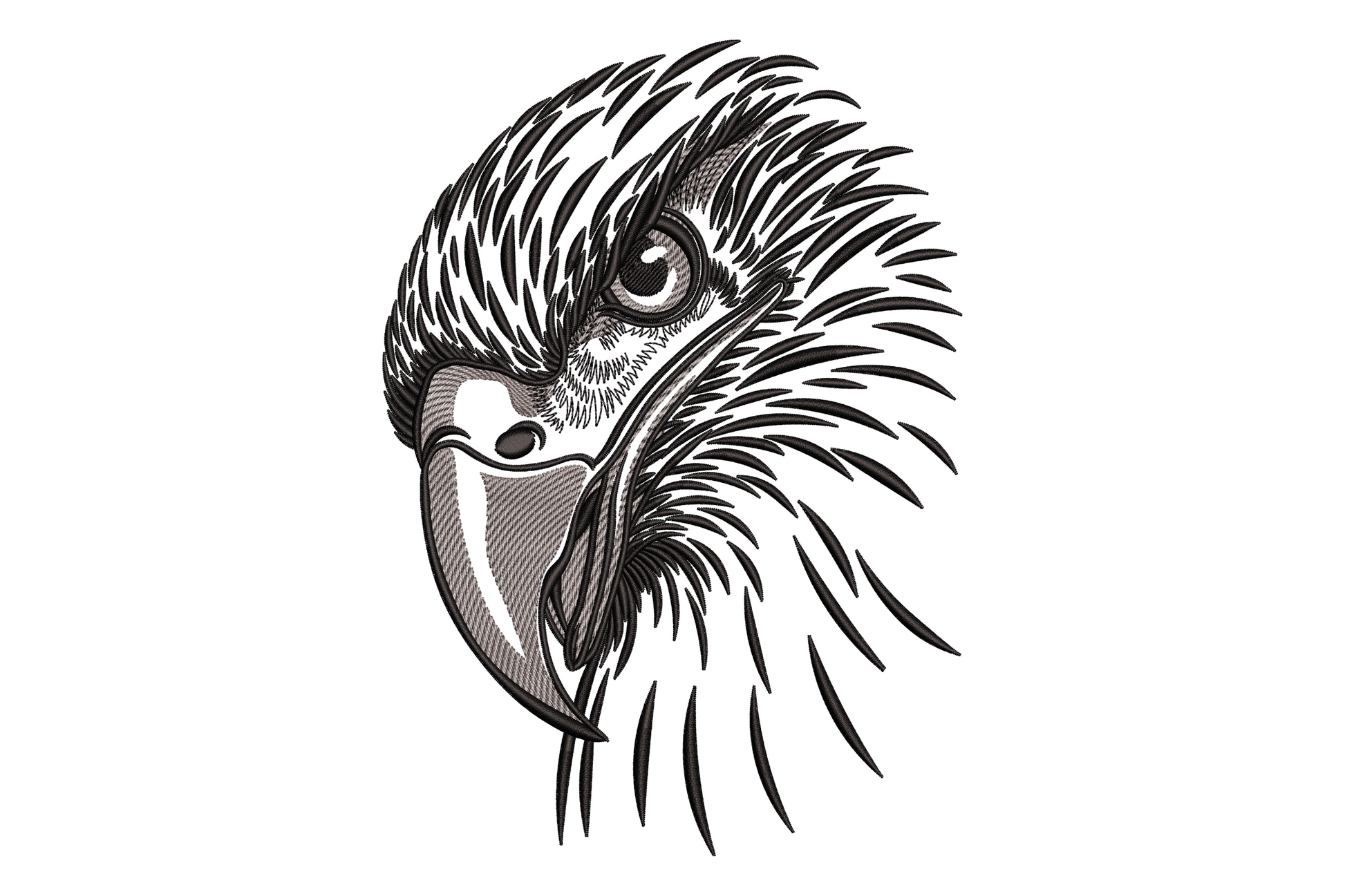 Wild eagle head embroidery in black and grey ink style, fierce profile with sharp hooked beak and fanned neck feathers.