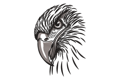 Wild eagle head embroidery in black and grey ink style, fierce profile with sharp hooked beak and fanned neck feathers.