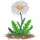 Wild Garden Floral Embroidery Design, Instant Download