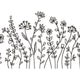 Wildflower Line Art Border Embroidery Design, Floral Machine Embroidery Pattern, Instant Download
