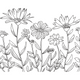 Wildflower Line Art Embroidery Design, Botanical Outline Floral Pattern