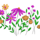 Wildflower Meadow Border Embroidery Design, Botanical Machine Embroidery Pattern, Instant Download