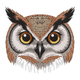 Wise Owl Face Embroidery Design, Machine Embroidery Pattern, Instant Download