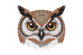Wise Owl Face Embroidery Design, Machine Embroidery Pattern, Instant Download