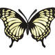 Yellow Butterfly Embroidery Design, Nature Insect Machine Embroidery Pattern, Instant Download