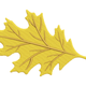 Yellow Leaf Embroidery Design, Instant Download